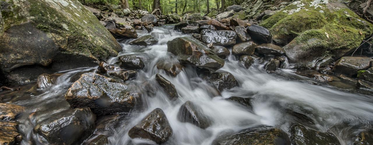 Cedar Creek Trail at Petit Jean State Park